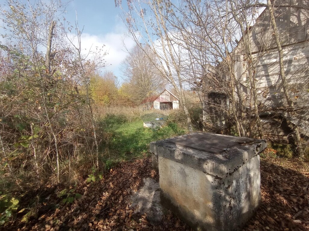Image 5506095 - 5