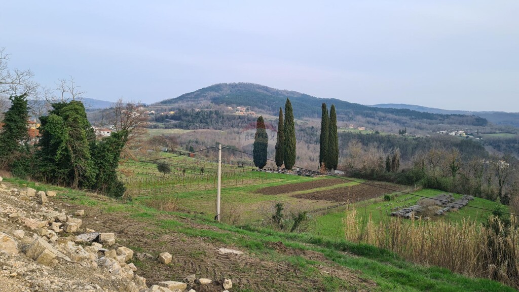Image 5507217 - 13