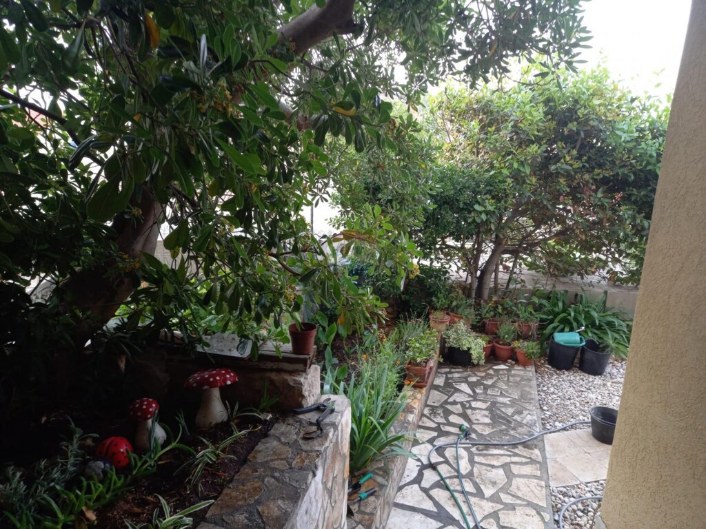 Image 5507240 - 4
