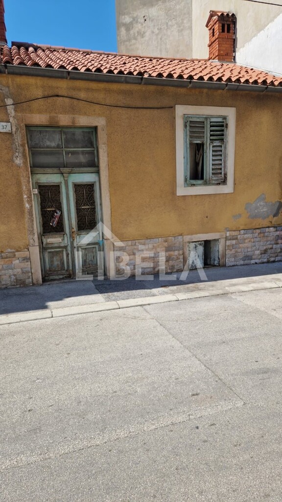 Image 5507256 - 7