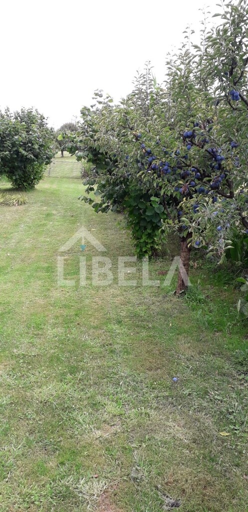 Image 5507257 - 9
