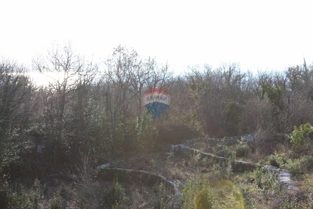 Image 5508625 - 2