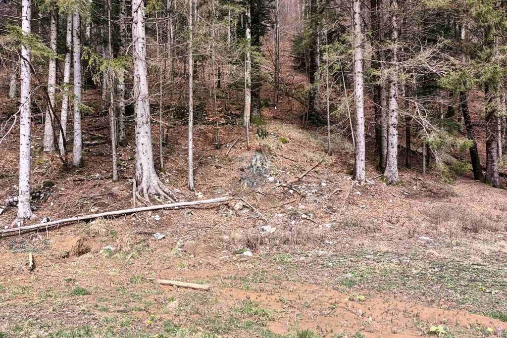 Image 5508629 - 4