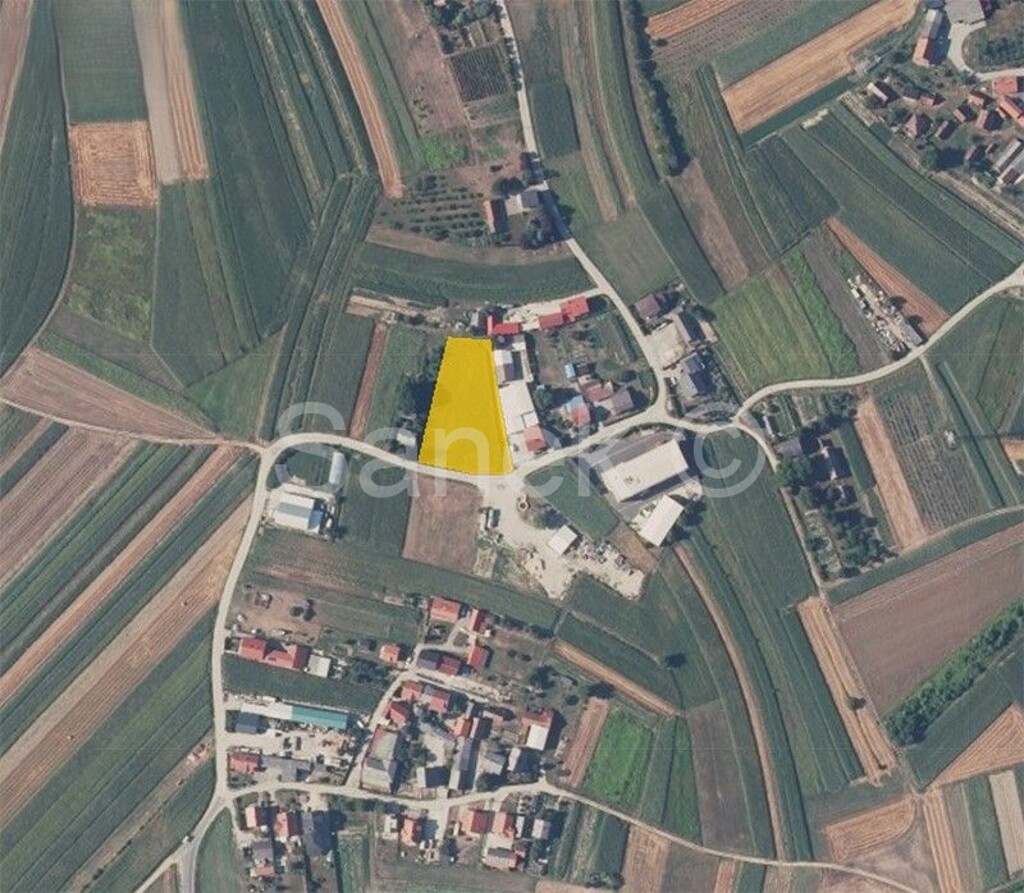 Image 5515277 - 4