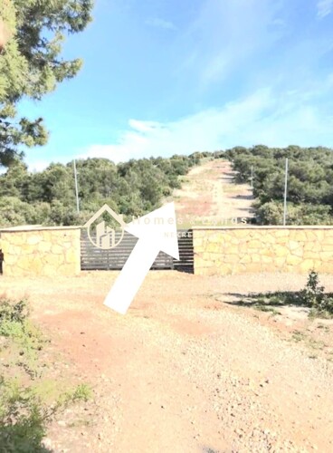 Thumbnail 5516045 - 3