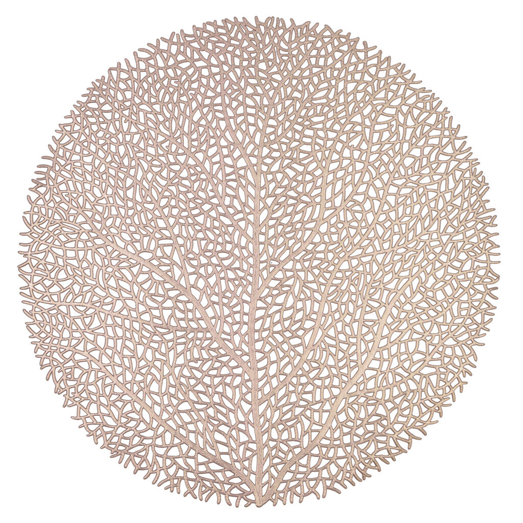 Image 5517048 - 2