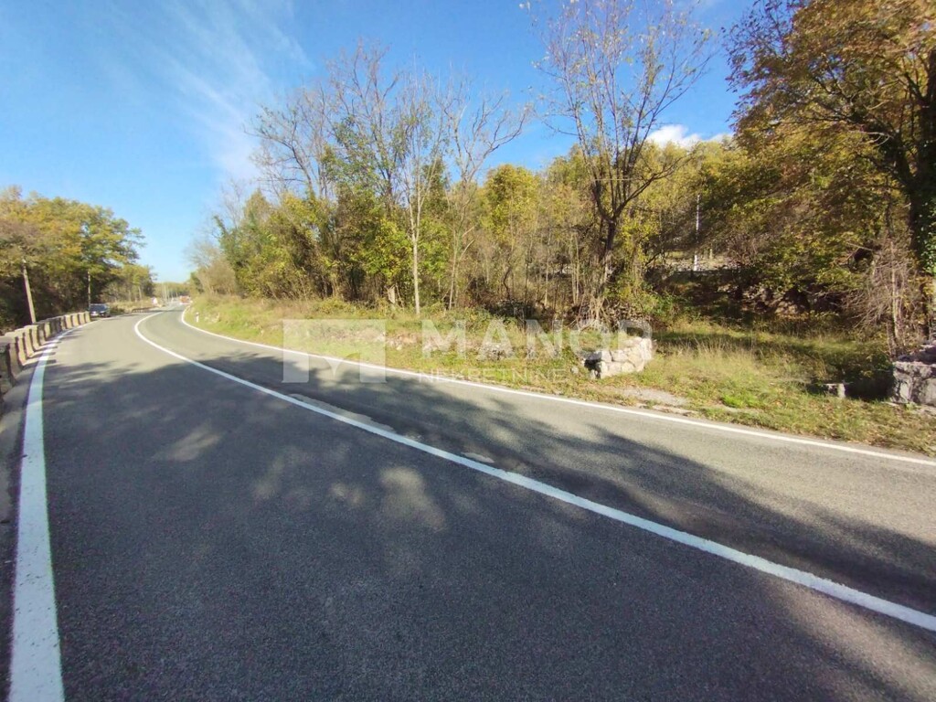 Image 5519619 - 8
