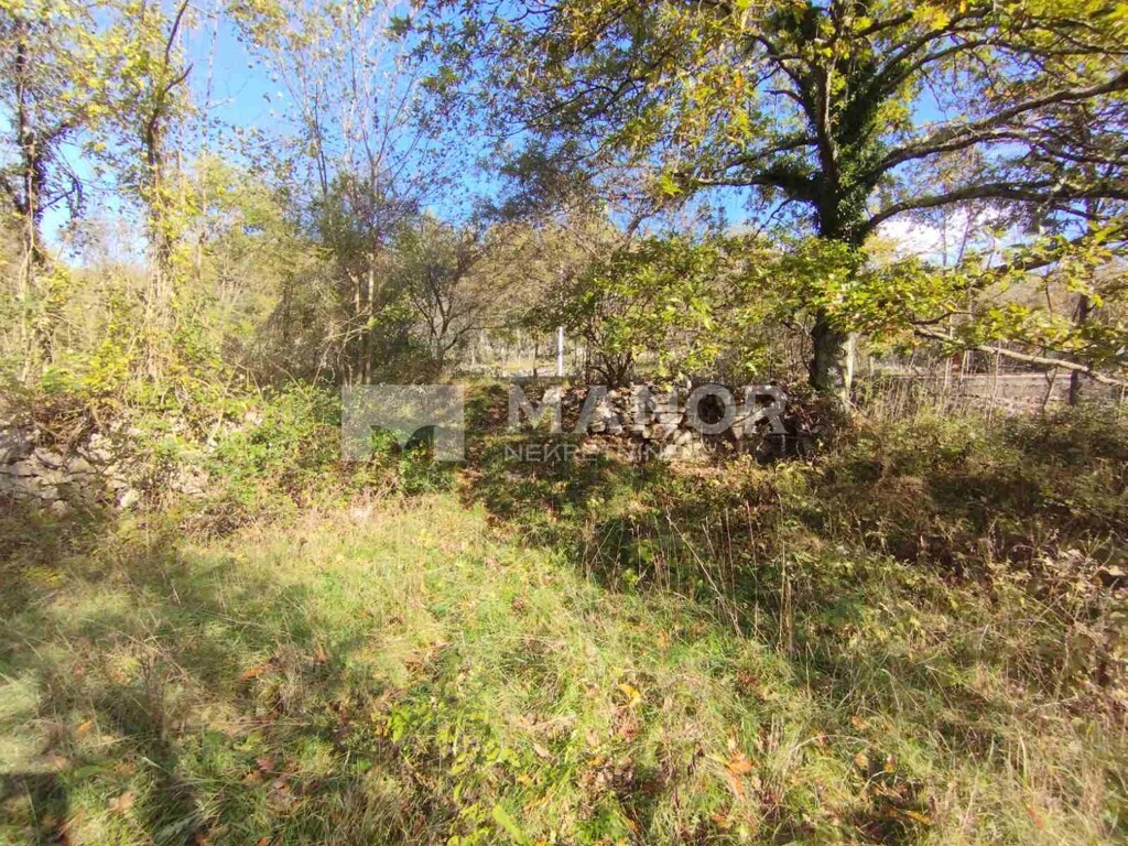Image 5519619 - 3