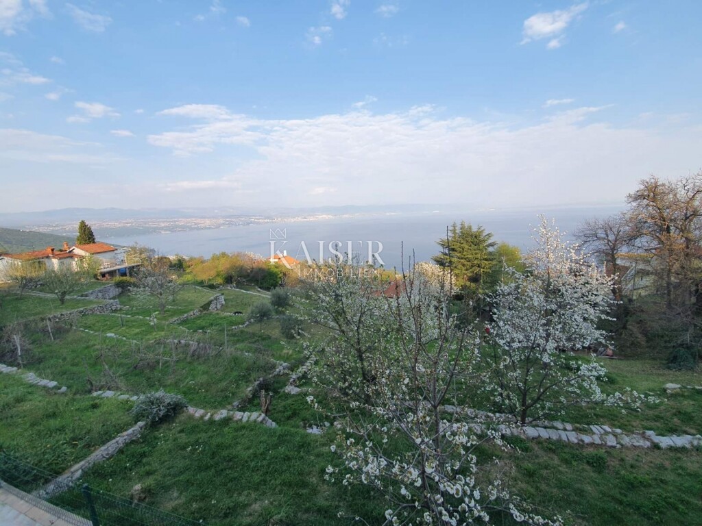 Image 5520798 - 5