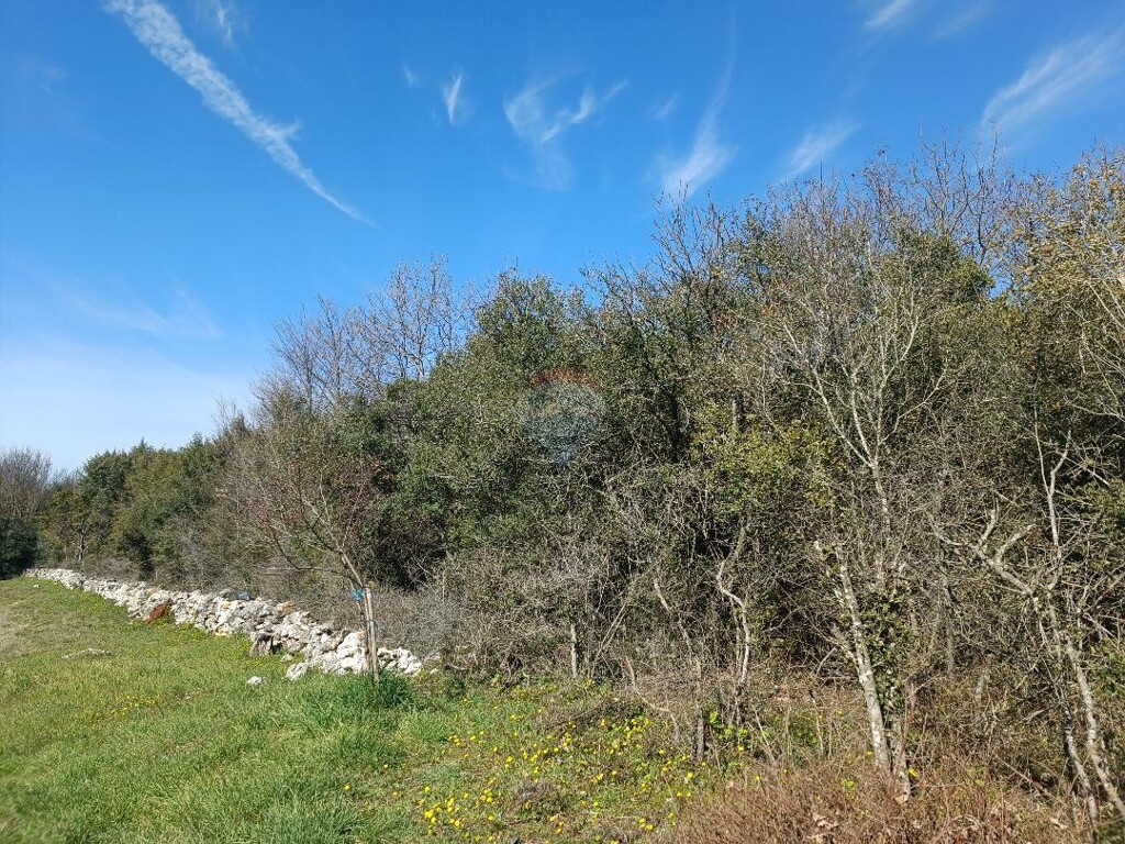 Image 5521492 - 4