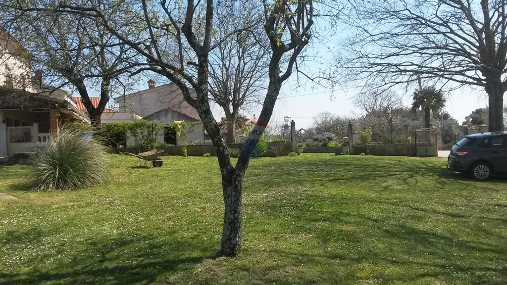 Image 5521500 - 2