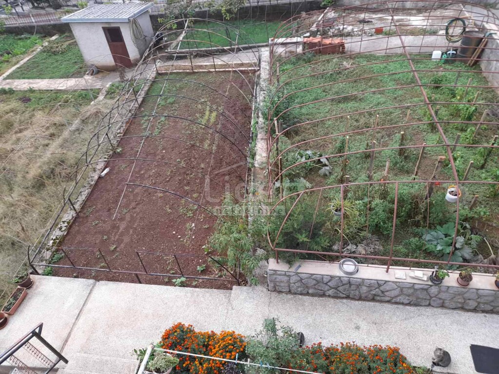 Image 5522230 - 6