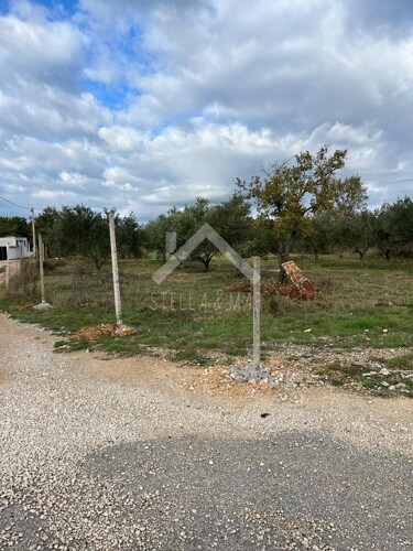 Građevinsko zemljište 5046m2 - Murvica
