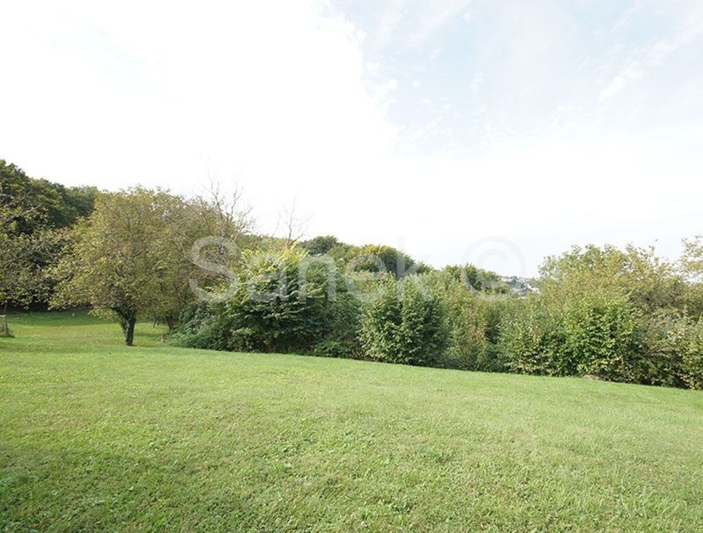 Image 5524070 - 2