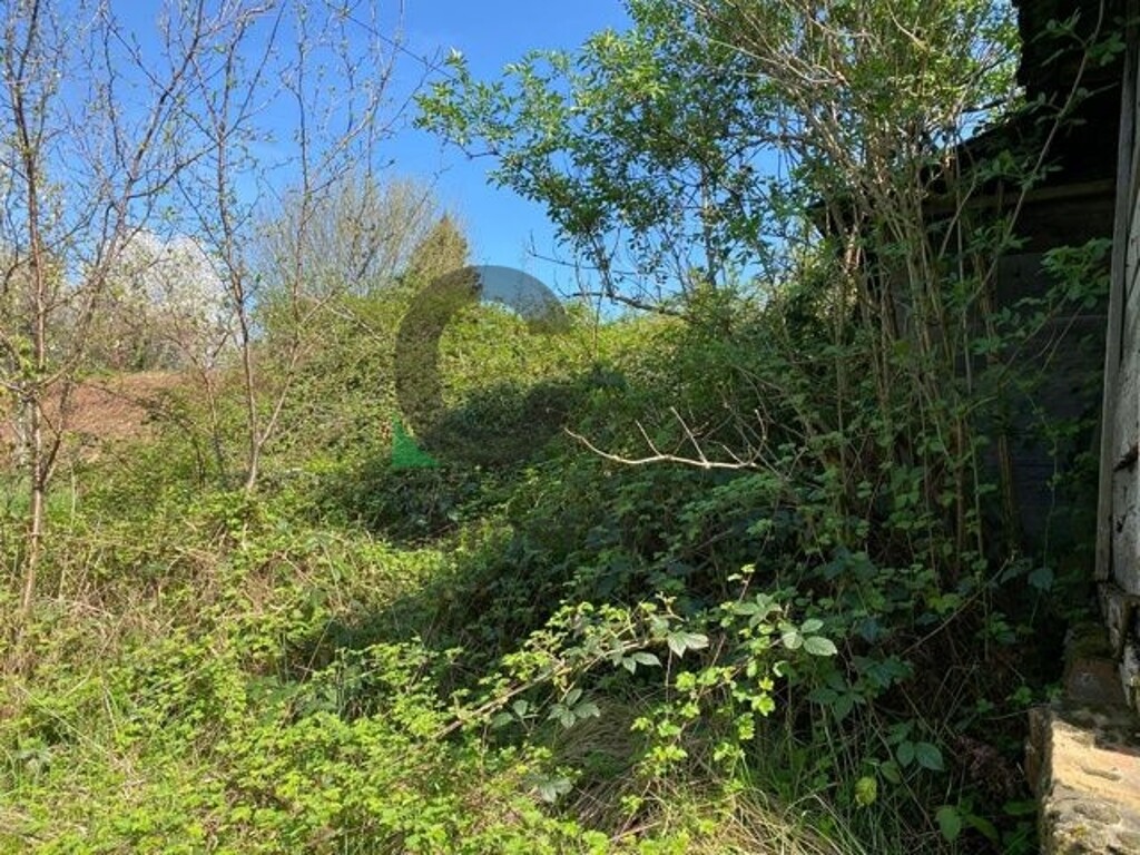 Image 5525089 - 3
