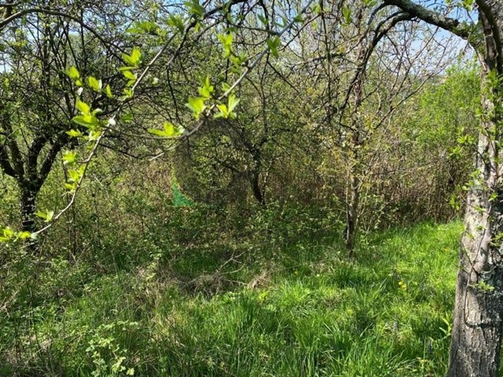Image 5525089 - 2
