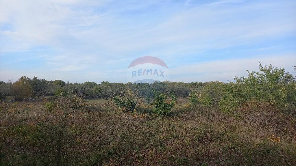 Image 5525425 - 2