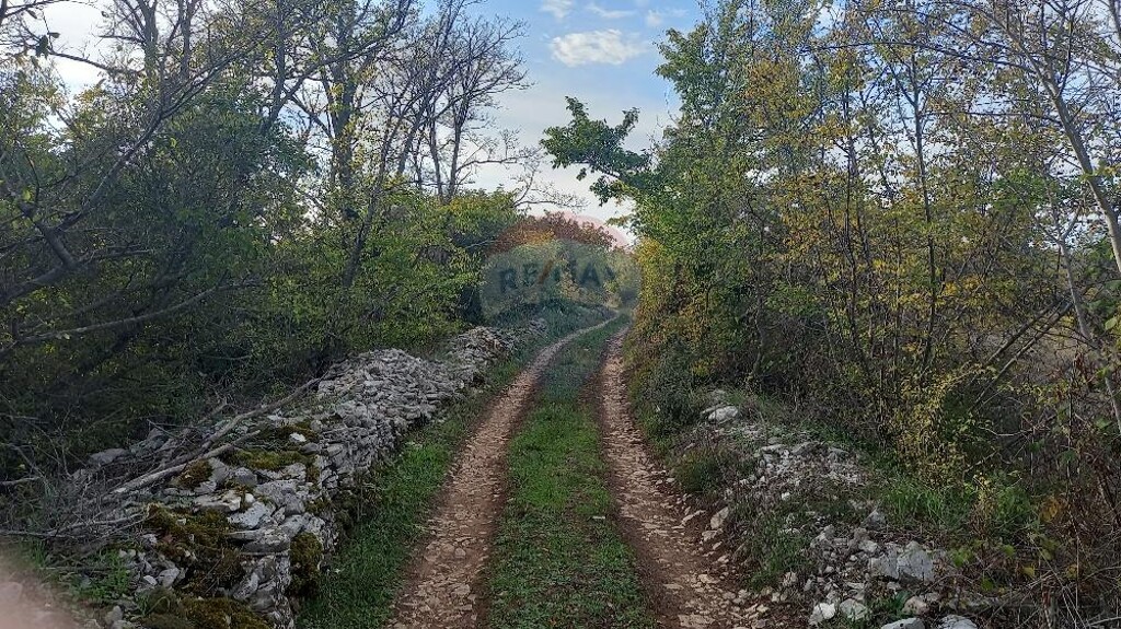 Image 5525425 - 5