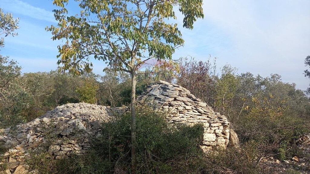 Image 5525425 - 9