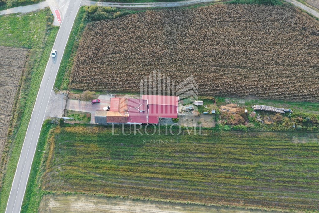 Image 5526282 - 4
