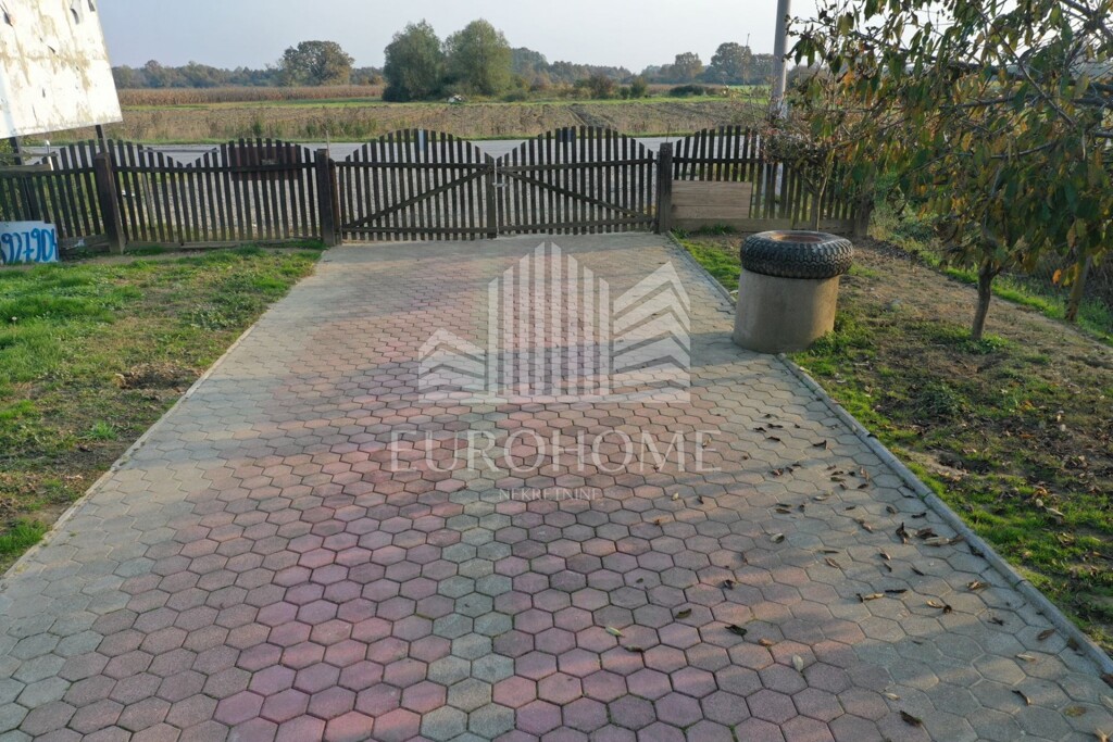 Image 5526282 - 8