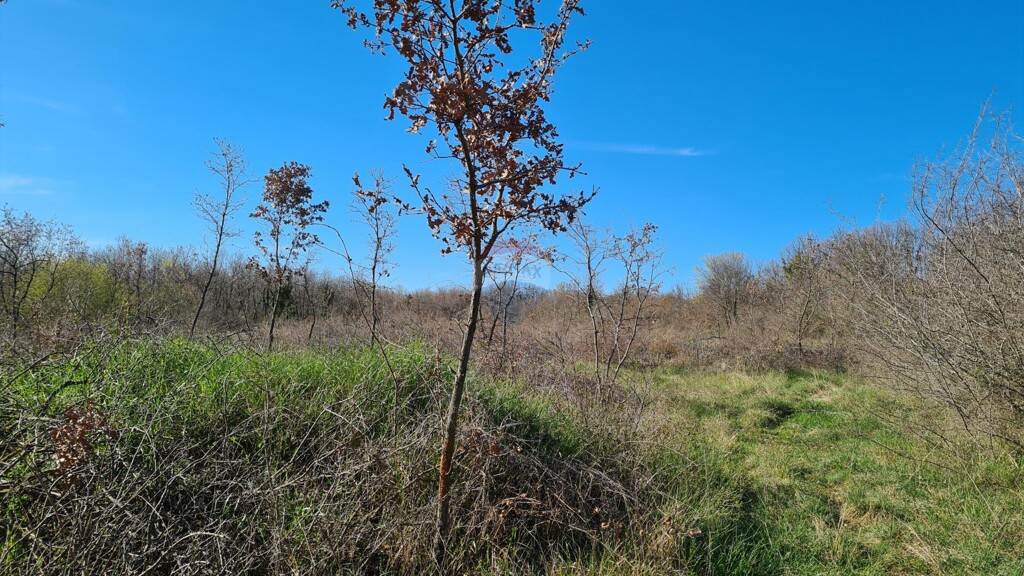 Image 5526754 - 4