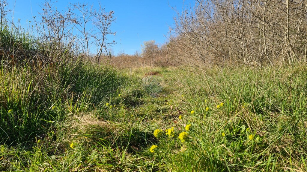 Image 5526754 - 12