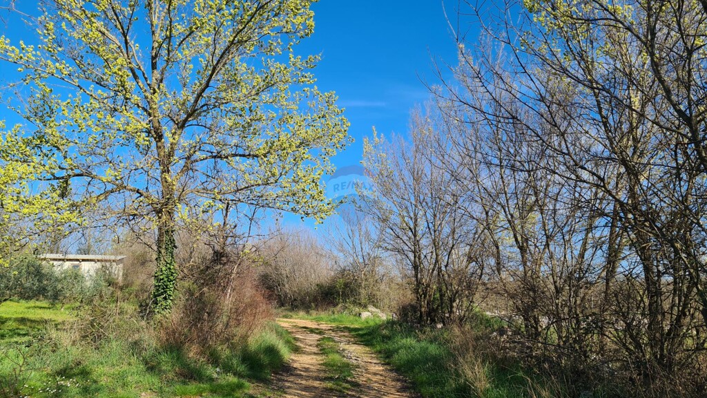 Image 5526754 - 1