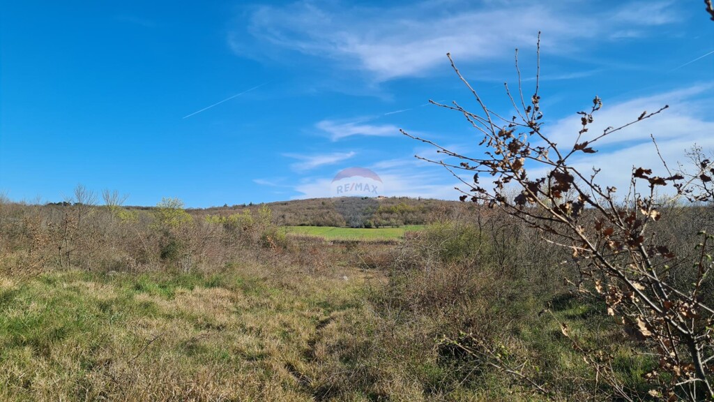 Image 5526754 - 9