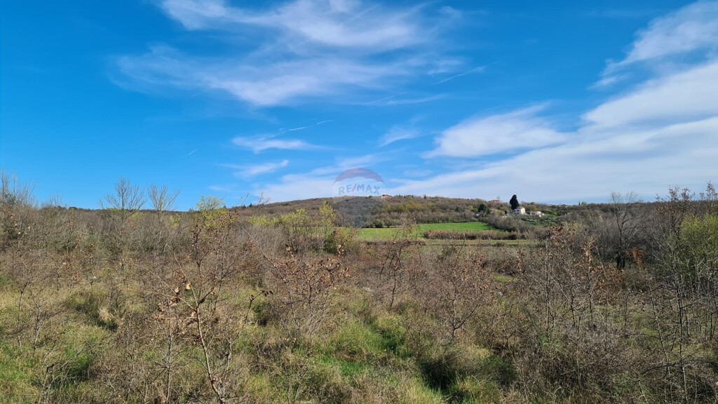 Image 5526754 - 7