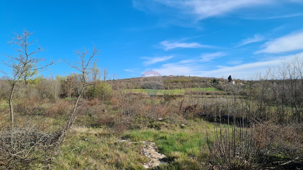 Image 5526754 - 5
