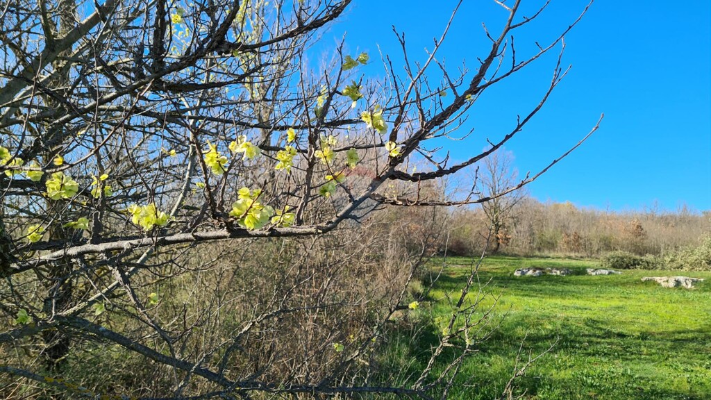 Image 5526754 - 3