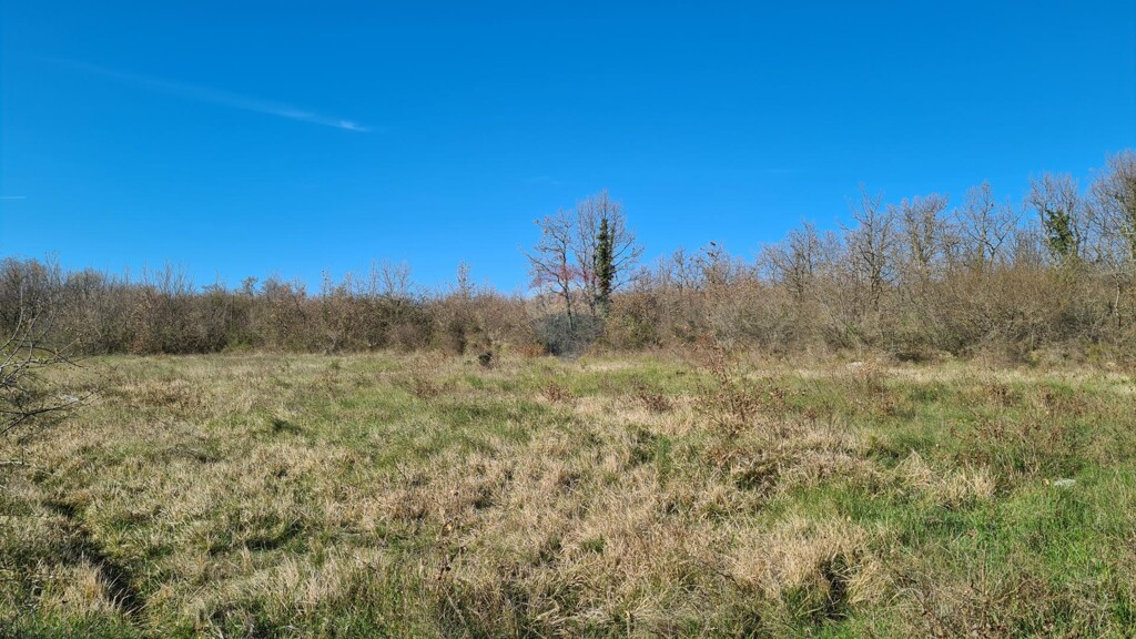Image 5526754 - 8
