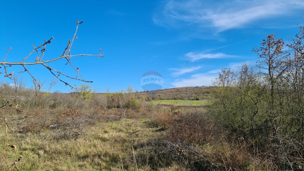 Image 5526754 - 6