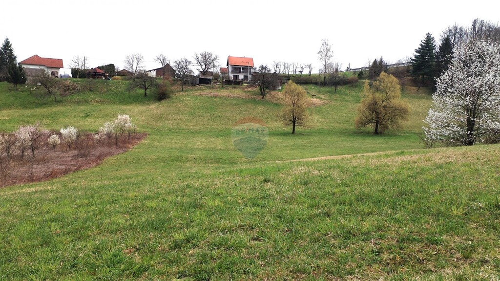 Image 5526758 - 1