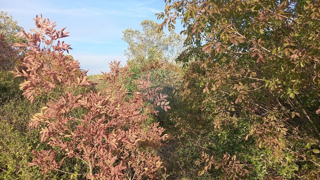 Image 5526772 - 4