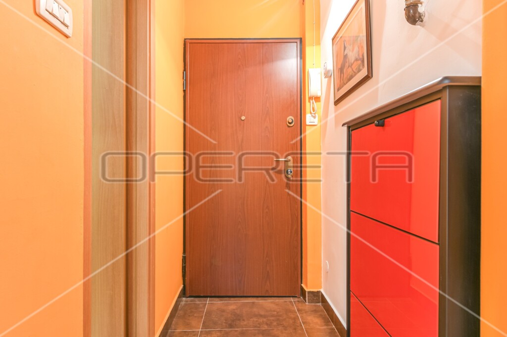 Image 5527791 - 5