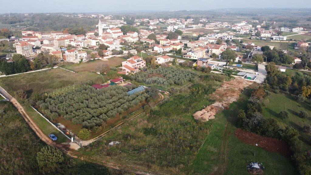 Image 5527902 - 1