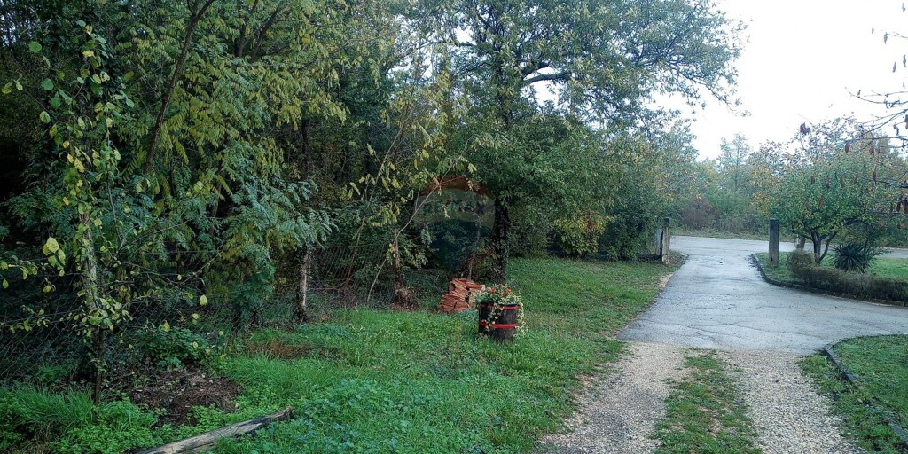 Image 5527915 - 4