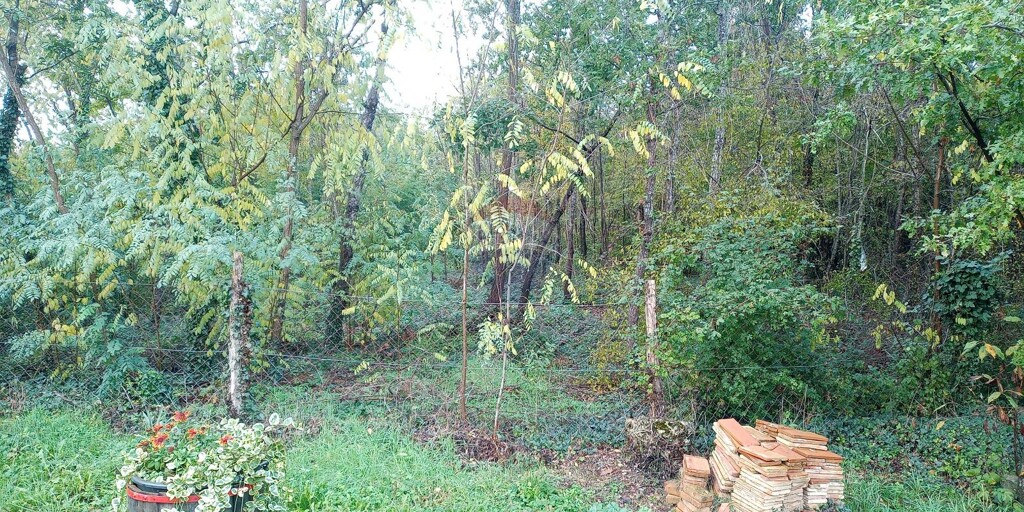 Image 5527915 - 3