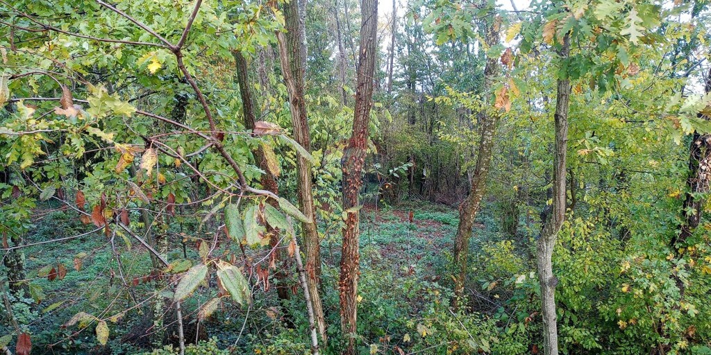 Image 5527915 - 5