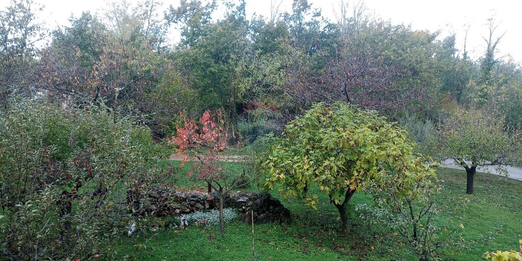 Image 5527915 - 1