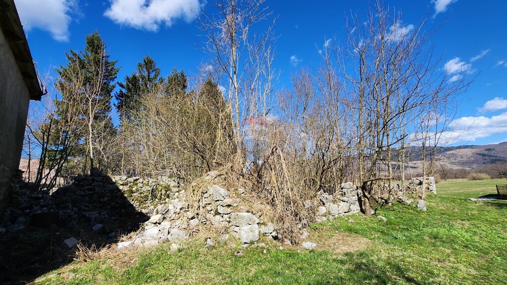 Image 5529674 - 12