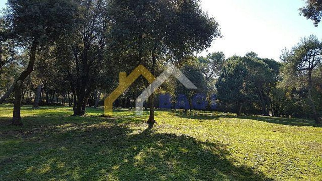Image 5532979 - 6