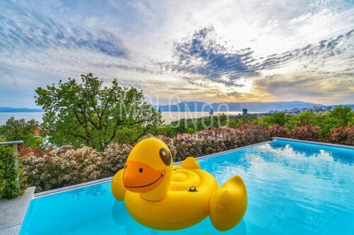 Thumbnail 5533048 - 5