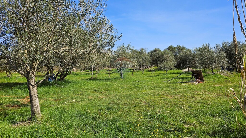 Image 5533213 - 2