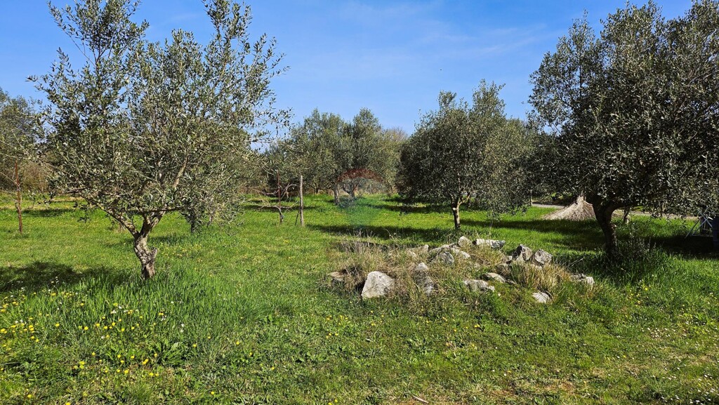 Image 5533213 - 6