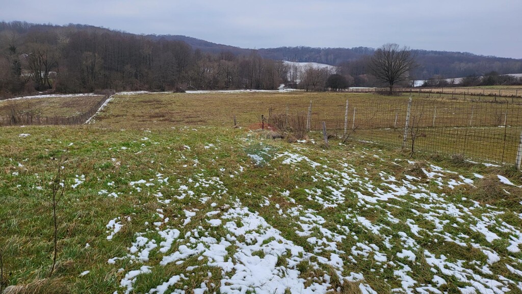 Image 5533219 - 8