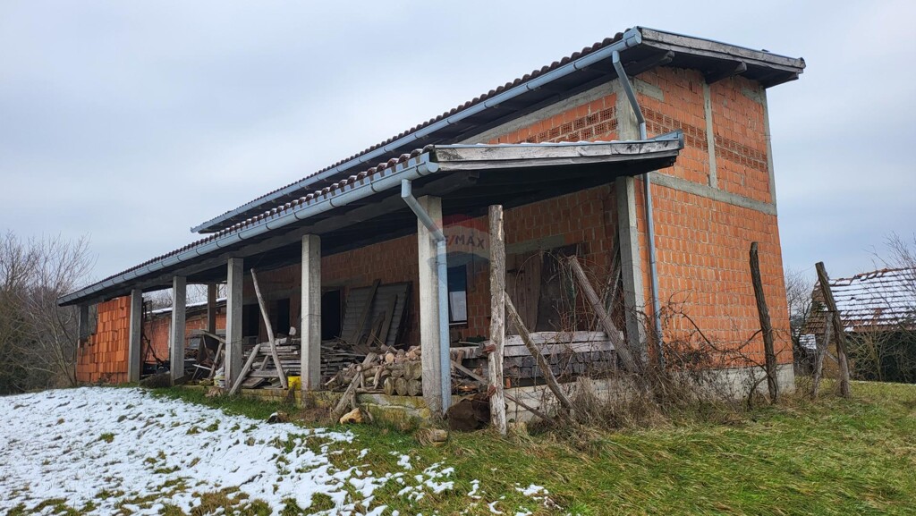 Image 5533219 - 4
