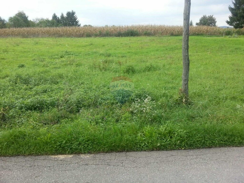 Image 5540521 - 1
